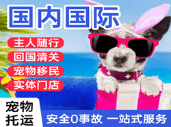 咸阳航空空运国际宠物托运 【国